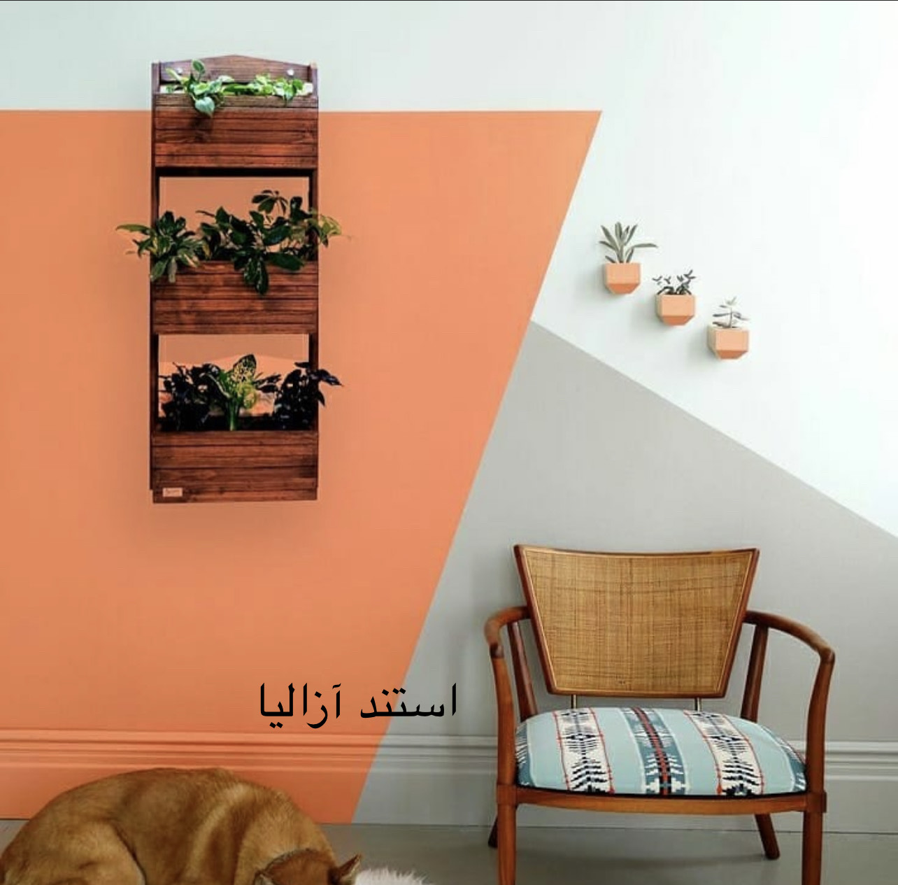 استند چوبی