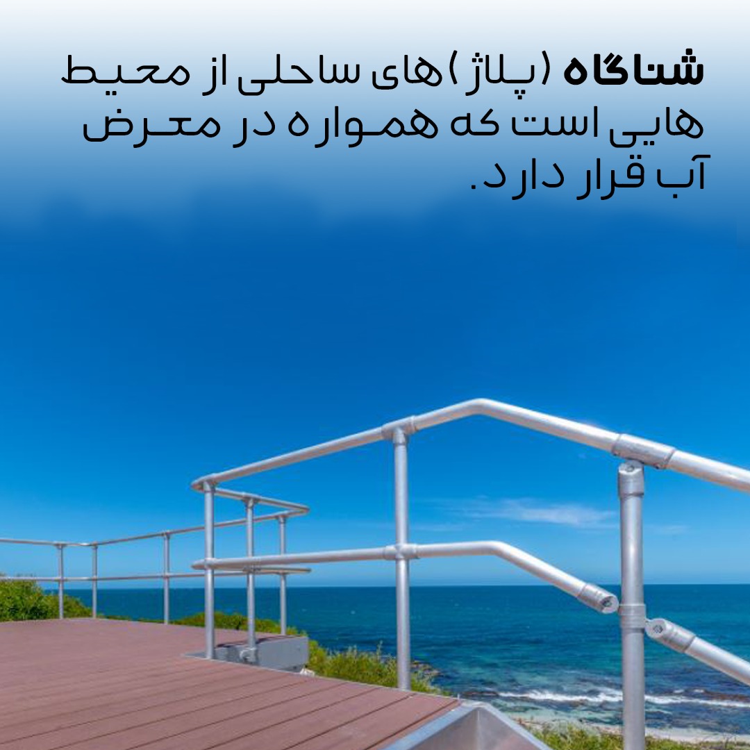 چوب پلاست در ساحل