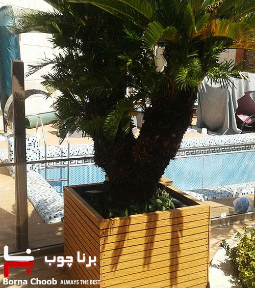 پروژه ابراهیمی