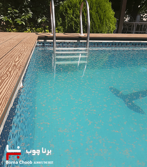 پروژه نهبانی